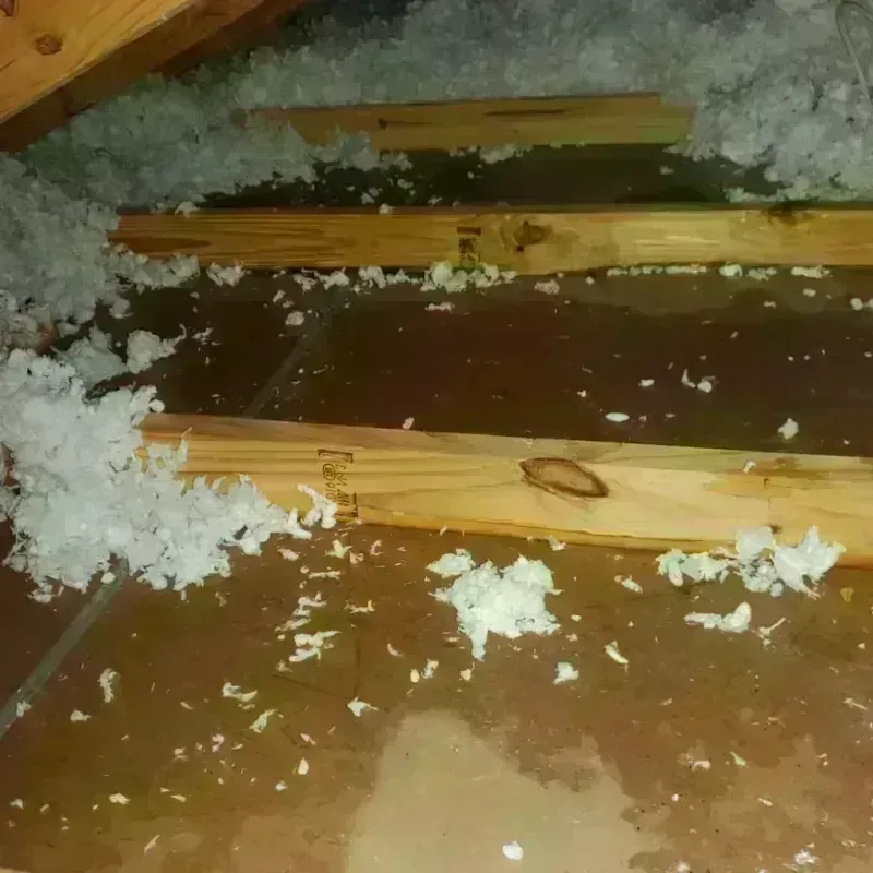 Attic Water Damage in Door County, WI