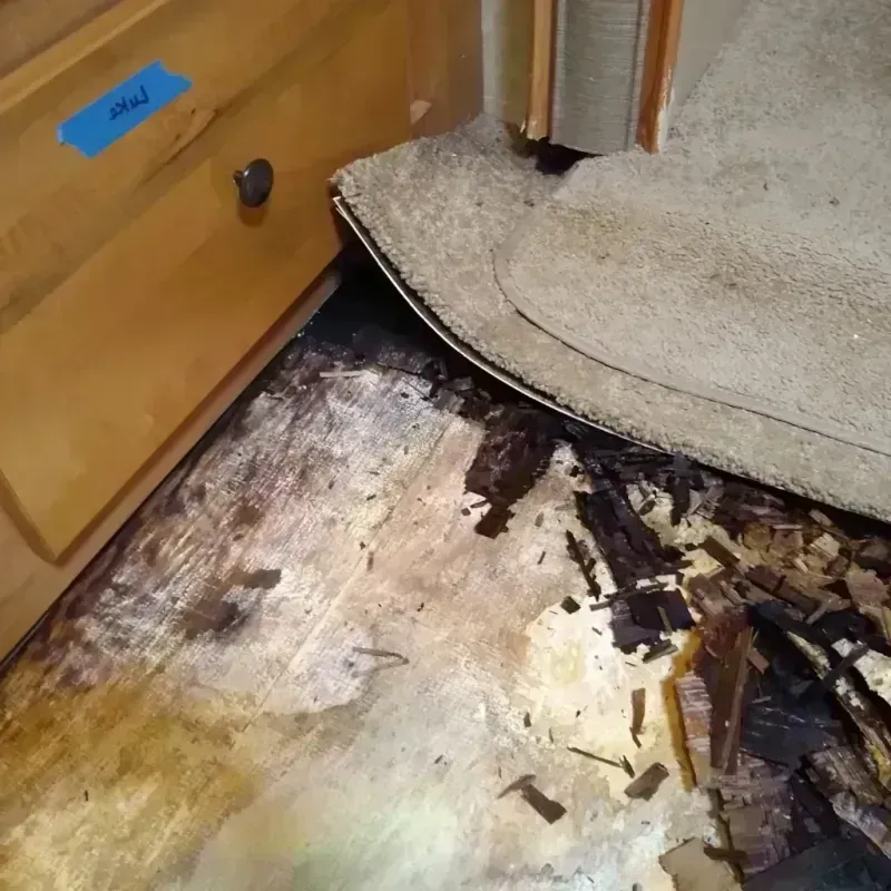 Wood Floor Water Damage in Door County, WI